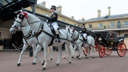 If you're lucky, catch a glimpse of the royal horses at the Royal Mews. Image courtesy of Golden Tours / Royal Collection Trust © His Majesty King Charles III 2024