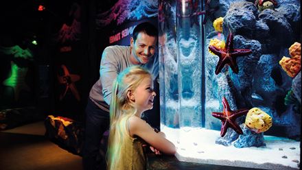 Take the kids to the SEA LIFE London Aquarium and discover more than 500 animal species. © Merlin Entertainments 2024