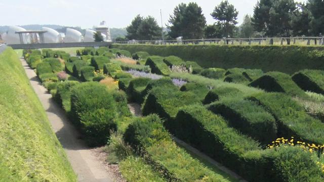 The sunken garden at Thames Barrier Park. Image courtesy of Greater London Authority. The sunken garden at Thames Barrier Park. Image courtesy of Greater London Authority.