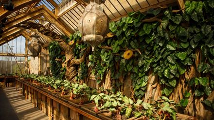 Professor Sprout's greenhouse. Credit: Warner Bros. Studio Tour London – The Making of Harry Potter. Image courtesy of Golden Tours.
