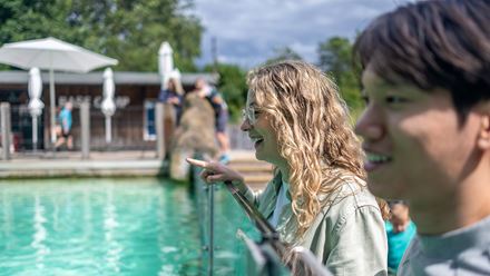 Spot penguins and other wildlife at London Zoo © London & Partners / Michael Barrow