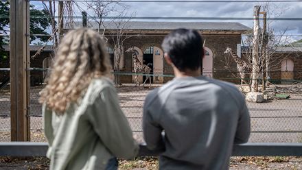 Step into Africa at London Zoo and admire the world's tallest land mammal, the giraffe. © London & Partners/Michael Barrow