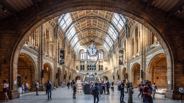 Sign up for a British Sign Language tour at the Natural History Museum. Credit: Jon Reid. Image courtesy of visitlondon.com. Interior of the Natural History Museum in London.