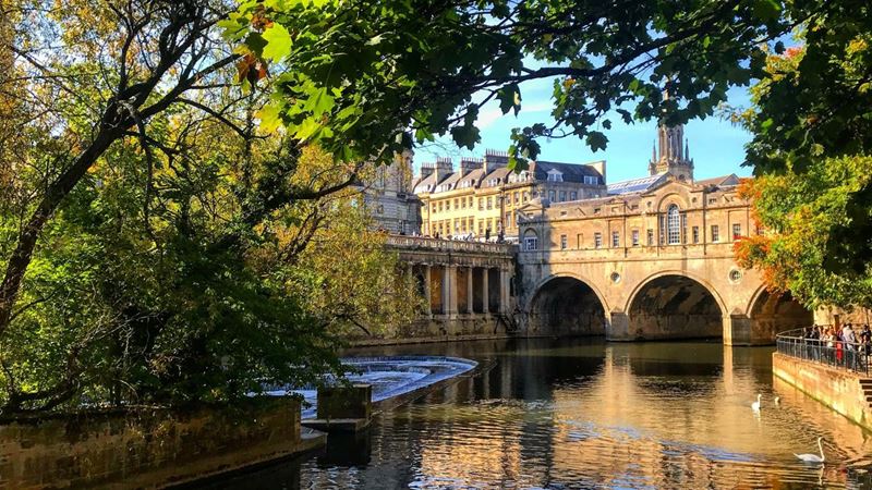 A green tree hangs over the river Avon next to a bridge in Bath.
