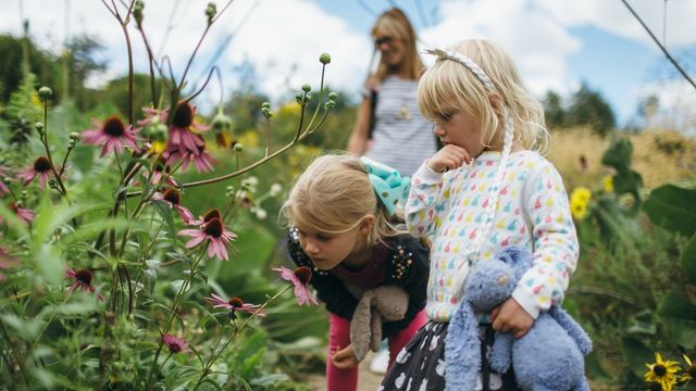 Oxford Botanic Gardens and Arboretum. Image courtesy of Oxford Botanic Gardens & Arboretum/Ian Wallman. Two children dressed in brightly coloured clothes smell flowers on a sunny day at oxford Botanic Gardens & Arboretum