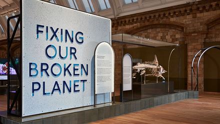 Explore the climate change gallery, Fixing Our Broken Planet, at the Natural History Museum. © Trustees of the Natural History Museum.