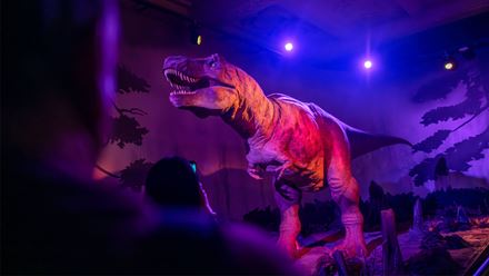 Witness the evolution of dinosaurs, birds and mammals on The Natural History Museum Guided Tour. Image credit: London & Partners/ Michael Barrow.