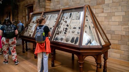 Admire specimens spanning hundreds of millions of years at The Natural History Museum. Image credit: London & Partners/ Michael Barrow.