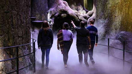 Venture into the Forbidden Forest at Warner Bros. Studio. Image courtesy of TM & © Warner Bros. Entertainment Inc. Harry Potter Publishing Rights © JKR.
