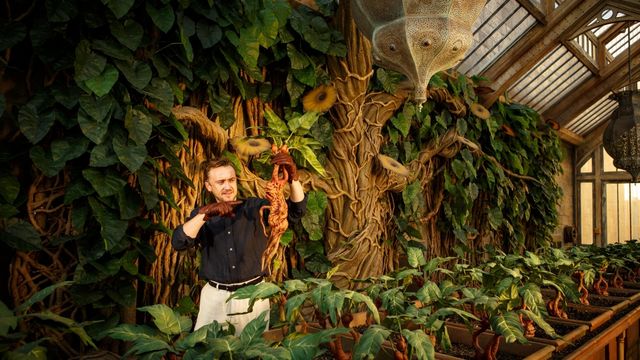 Tom Felton holds a mandrake at the new professor sprout exhibit at Warner Bros. Studio Tour London. 
