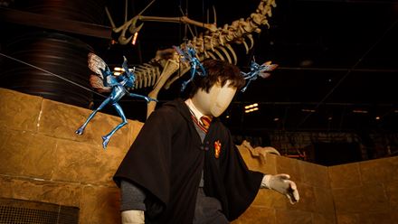 Collect your activity passport at Warner Bros. Studio Tour - The Making of Harry Potter and uncover where the mischievous Cornish Pixies are hiding. TM & © Warner Bros. Entertainment Inc. Harry Potter Publishing Rights © JKR.