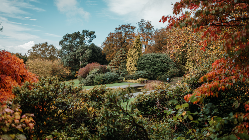 Spot hues of orange at Hampstead's Hill Garden and Pergola during autumn. Credit: London & Partners/Michael Barrow. Image courtesy of visitlondon.com. Green, yellow and orange trees from Hampstead Pergola Gardens on a blue day
