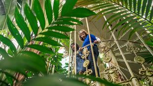 Two women walking up the staircase with plants in the foreground in Kew Gardens conservatory