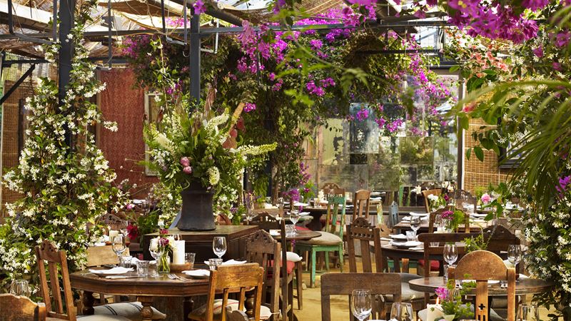 Dine under colourful plants and greenery at Petersham Nurseries Restaurant in Richmond. Credit: Andrew Montgomery. Image courtesy of Petersham Nurseries. A glasshouse restaurant with jasmine, vines and bougainvillea.