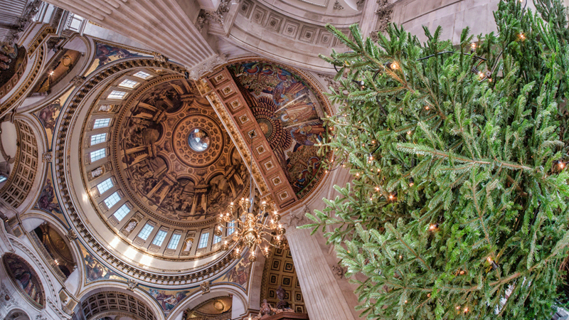 Christmas at St Paul's Cathedral. Credit: Graham Lacdao/St Paul's Cathedral. Image courtesy of Luther Pendragon. Looking up at St. Paul's Cathedral ceiling and Christmas tree