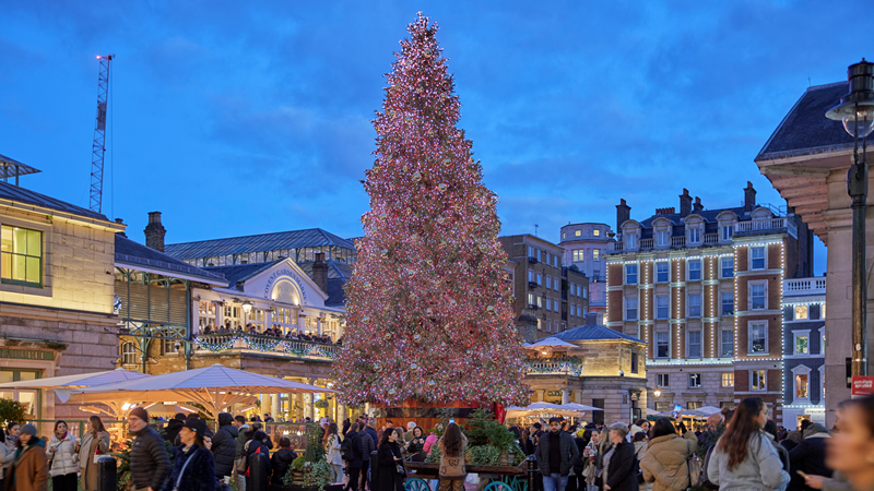 Stop by Covent Garden to see the iconic handpicked Christmas tree covered in twinkling lights. Credit: Covent Garden. Image courtesy of Covent Garden. Covent Garden square at blue hour full with people dressed for winter with the huge Christmas tree in the middle, covered in red and blue twinkling lights