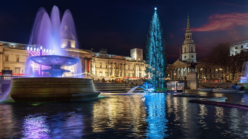 See the traditional Christmas tree decorated with blue neon lights in Trafalgar Square. Credit: Shutterstock. Image courtesy of Shutterstock. A water fountain with reflected purple lights illuminates Trafalgar Square. In the background is the famous Christmas tree with its blue neon decorations.