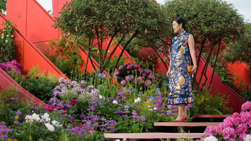The Silk Road Garden at RHS Chelsea Flower Show 2017. Image courtesy of RHS/Georgi Mabee. An invited guest steps onto The Silk Road Garden at RHS Chelsea Flower Show 2017.