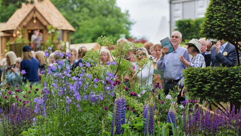 Take inspiration from the gorgeous display at the annual RHS Chelsea Flower Show. Credit: RHS/Georgi Mabee. Image courtesy of RHS. Visitors view The Morgan Stanley Garden at RHS Chelsea Flower Show 2017.