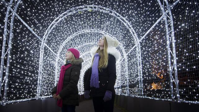 Christmas at Kew. Photo: Jeff Eden © RBG Kew. Image courtesy of Kew Gardens. Two girls look up as they walk through a tunnel of white lights at Christmas at Kew.