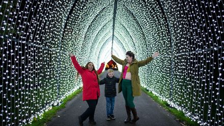 Marvel at the sparkling light tunnel at Christmas at Kew. © RBG Kew