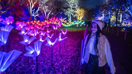 See the enchanting Kew Gardens glow at Christmas at Kew. © RBG Kew