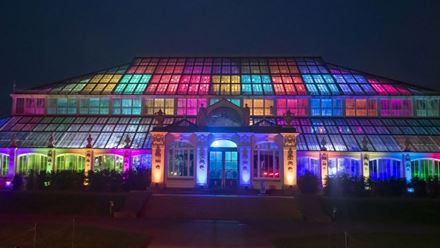 Don't miss the exciting Palm House installations at Christmas at Kew. © RBG Kew