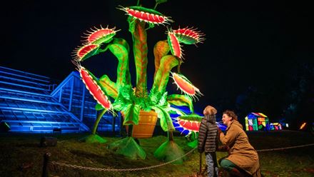 The John Lewis Snapper Installation at Christmas at Kew 2023. © RBG Kew