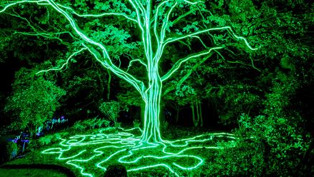 See spooky spectacles in the dark at Halloween at Kew. © RGLiveSony Music. Image courtesy of  RGLiveSony Music.