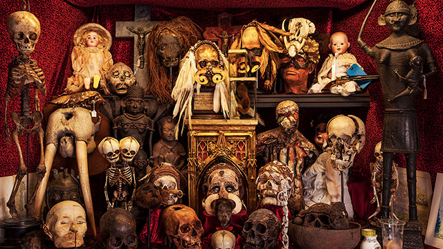A cabinet dedicated to dead people at The Viktor Wynd Museum Of Curiosities. Image courtesy of Oskar Proctor. a cabinet filled with skeletons and heads of dead people