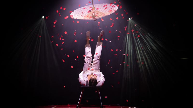 This festive season, see a unique show in London with La Clique, a cabaret like no others. Image courtesy of Underbelly. A contortionist in a white suit sits on a chair while red petals fall from an umbrella suspended in the air.