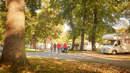 Abbey Wood Caravan site. Photo: Alan Wood. Image courtesy of the Caravan and Motorhome Club.
