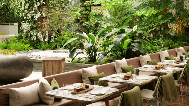 An attention to detail runs through Sanderson. Credit: Sanderson. Image courtesy of Sanderson, Plants form the backdrop of outdoor seating area at Sanderson