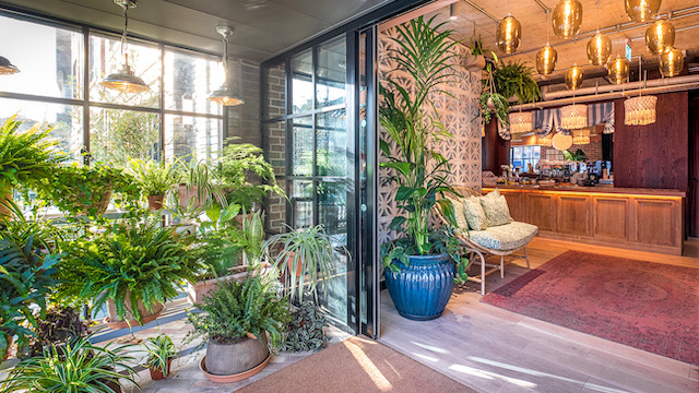 Be greeted by greenery at room2 Chiswick. Credit: room2 Chiswick. Image courtesy of room2 Chiswick. A large number of potted plants under golden lights at the entrance to room2 Chiswick in West London.